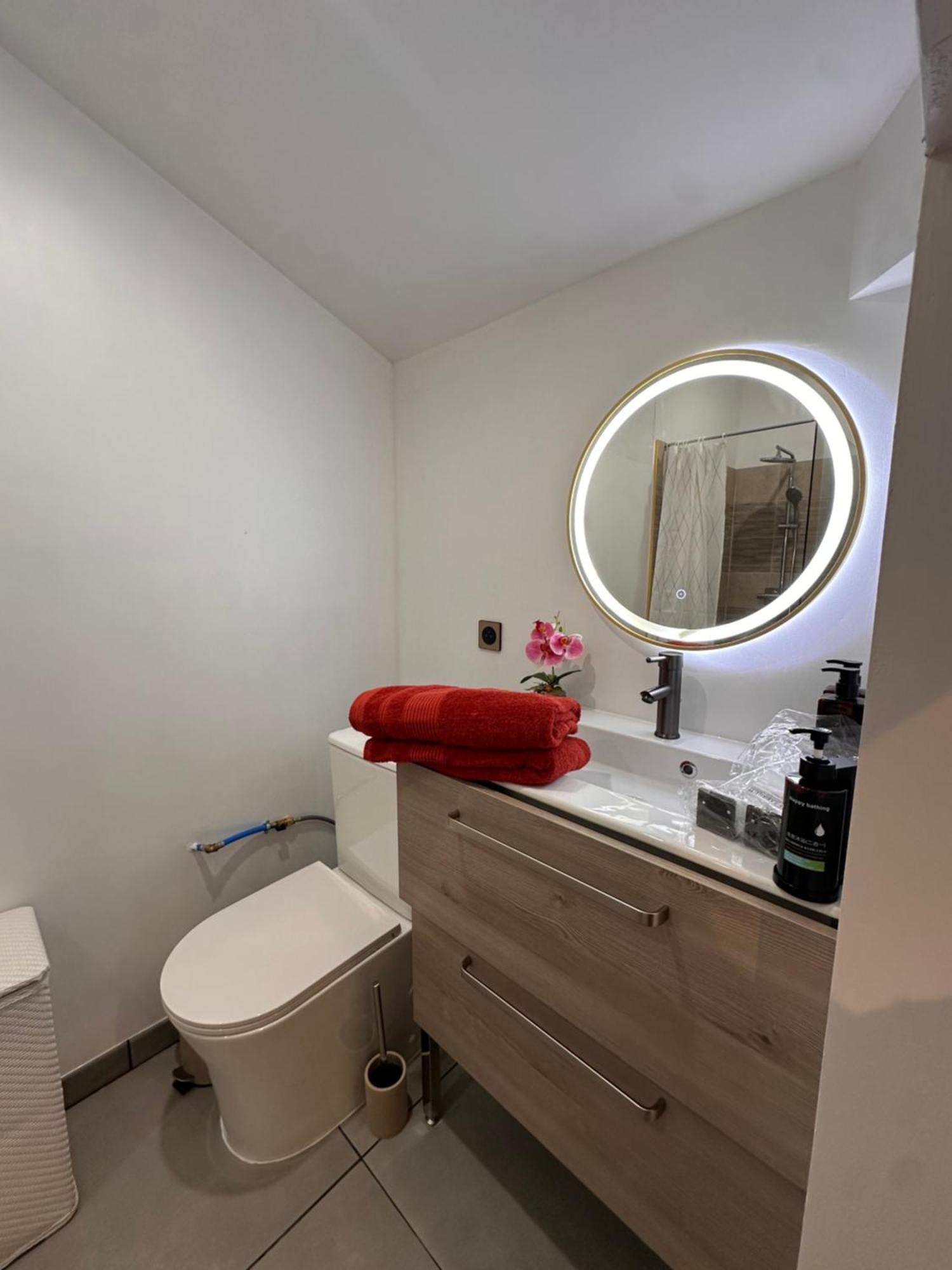 קרקסון Les Appartements Du Palais מראה חיצוני תמונה